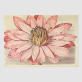 Vintage Fransk Blommigt Ephemera Decoupage Rosa