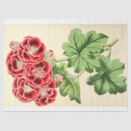 Vintage Fransk Blommigt Ephemera Decoupage Rosa