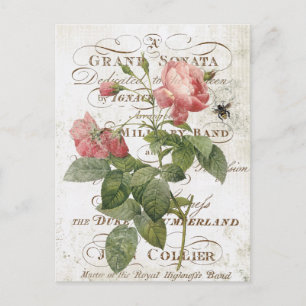 Vintage fransk botanisk ros vykort