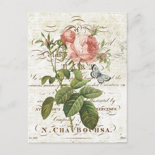 Vintage Fransk Botaniskt vykort ro (Framsida)