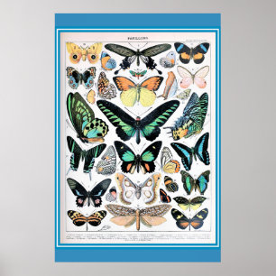 Vintage Fransk Butterflies Cottagecore Poster