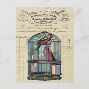 Vintage Fransk Chic Victorian Birdcage Love birds Vykort