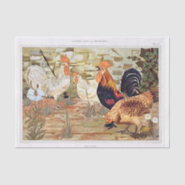 Vintage Fransk Chickens