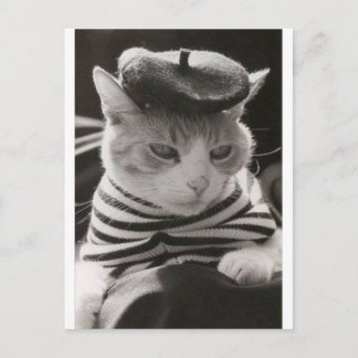Vintage fransk-katt vykort
