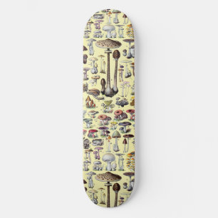 Vintage Fransk Svamp Cottagecore Botanisk Konst Mini Skateboard Bräda 18,5 Cm