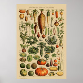 Vintage Fransk Vegetable Poster botaniskt tryck