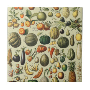 Vintage franska botaniska fruktposterkonst kakelplatta
