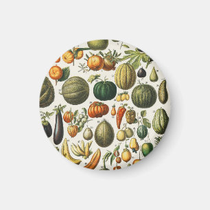 Vintage franska botaniska fruktposterkonst magnet