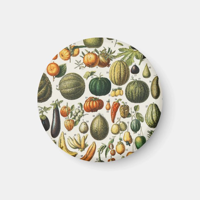 Vintage franska botaniska fruktposterkonst magnet (Framsidan)