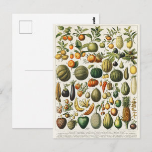 Vintage franska botaniska fruktposterkonst vykort