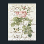 Vintage French Botanical rose postcard Vykort<br><div class="desc">Vintage French Botanical rose postcard</div>