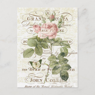 Vintage French Botanical rose postcard Vykort