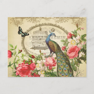Vintage French Shabby Chic Peacock Vykort