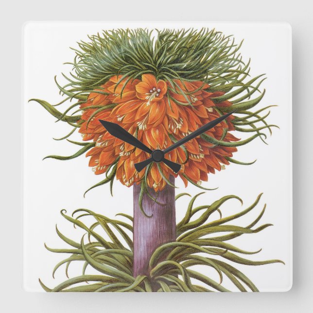 Vintage Fritillaria Flowers av Basilius Besler Fyrkantig Klocka (Framsida)