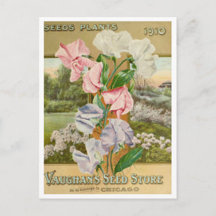 Vintage frö annons postkort vykort