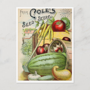 Vintage frö annons postkort vykort