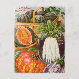 Vintage frö reklam brevkort vykort