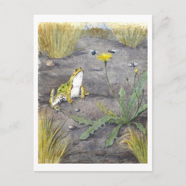 Vintage Frog and Dandelion Vykort (Framsida)