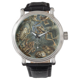 Vintage Frogs and Toads Batrachia av Ernst Haeckel Armbandsur