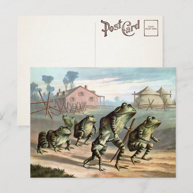 Vintage Frogs vykort (Fram/baksida)