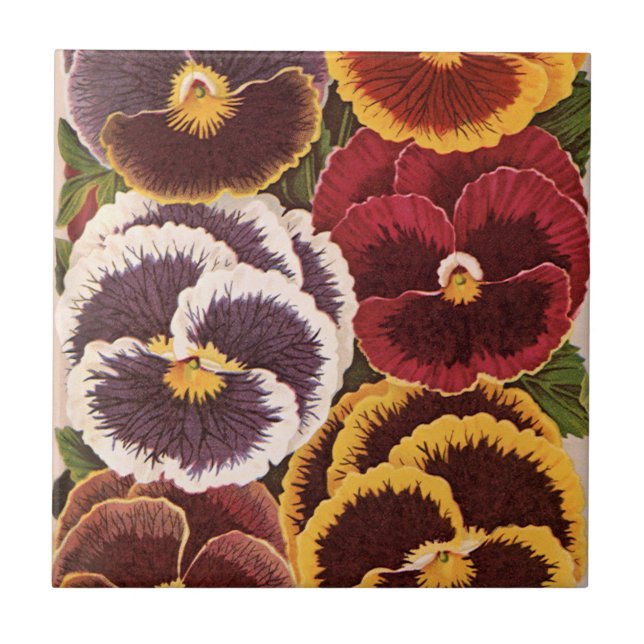 Vintage fröpaket etiketter, trädgårds penséer blom kakelplatta (Framsidan)