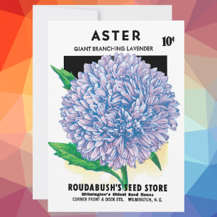 Vintage fröpaket konst, lila aster blommor