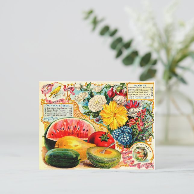 Vintage fröpaket. vykort (Stående Fram)