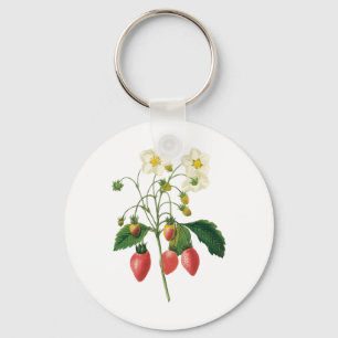 Vintage Fruit Berries Livsmedelsjordgubbar från Re Nyckelring