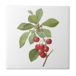 Vintage Fruit Cherry Food, Cherries by Redoute Kakelplatta