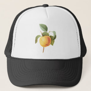 Vintage Fruit Food, Calville Apple av Redoute Keps