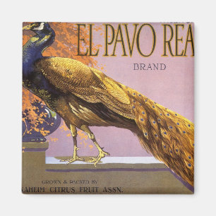 Vintage Fruit Låda-etikett Art El Pavo Peacock Bir Magnet