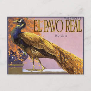 Vintage Fruit Låda-etikett Art El Pavo Peacock Bir Vykort