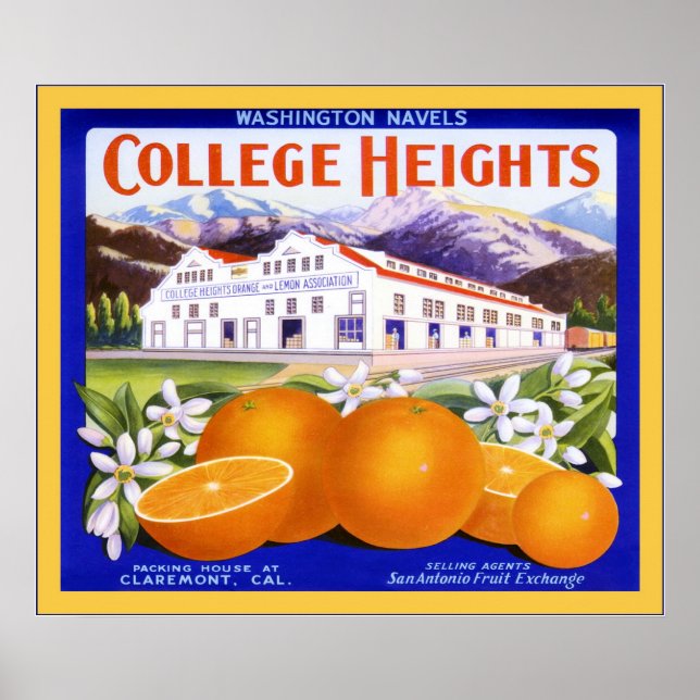 Vintage Fruit Låda-etikett Poster (Framsidan)