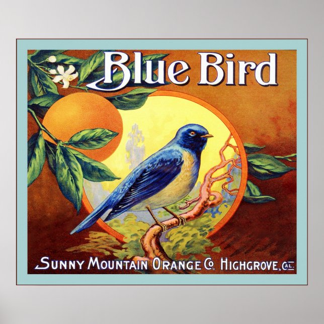 Vintage Fruit Låda-etikett Poster (Framsidan)