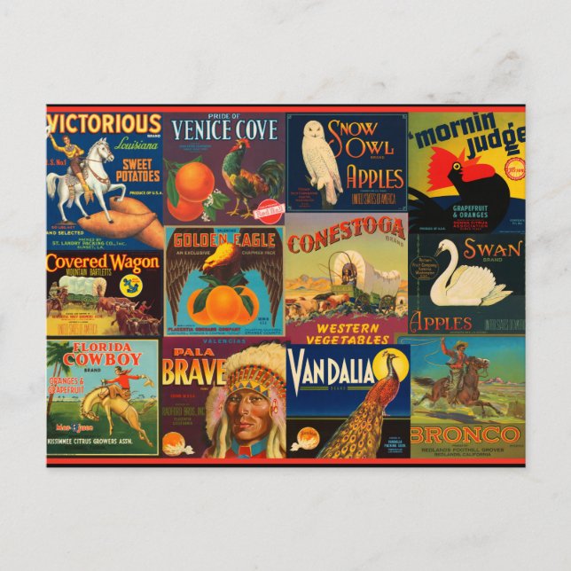 Vintage Fruit Låda-etiketter Vykort (Framsida)