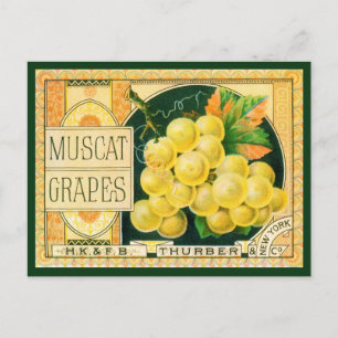 Vintage Fruit Låda Label Art., Muscat Graphics Vykort