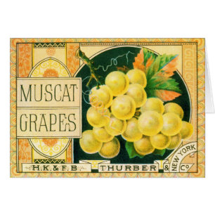 Vintage Fruit Låda Label Art, Muscat Graps Hälsningskort