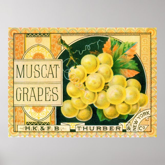 Vintage Fruit Låda Label Art, Muscat Graps Poster (Framsidan)