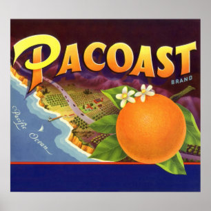 Vintage Fruit Låda Label Art, Pacoast-Orangar Poster