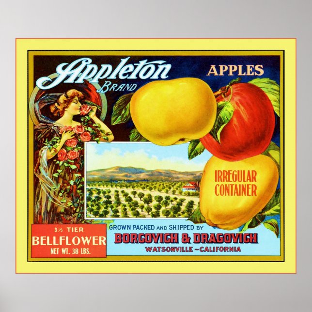 Vintage Fruit Låda Lable Poster (Framsidan)