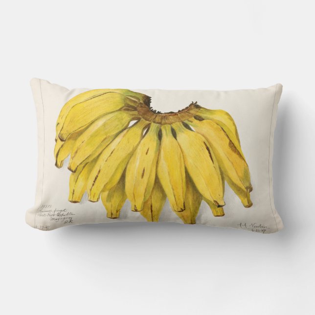 Vintage Fruit Lumbarkudde (Framsida)