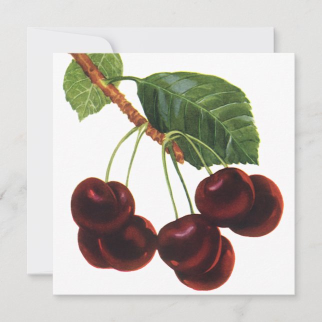 Vintage Fruit Mat, Ripe Cherries från Träd (Framsida)