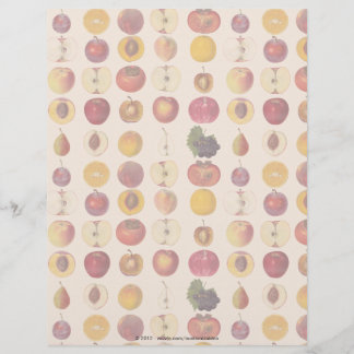 Vintage Fruit Mönster