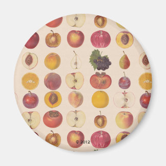Vintage Fruit Mönster Magnet