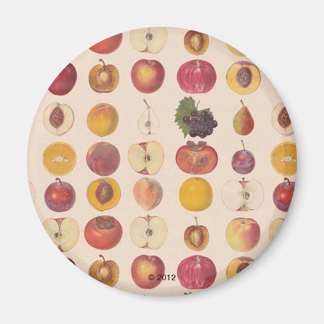 Vintage Fruit Mönster Magnet (Framsidan)