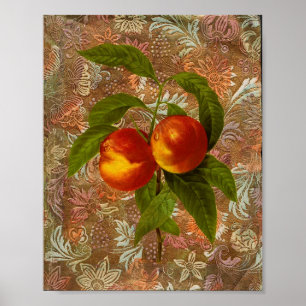 Vintage Fruit Poster
