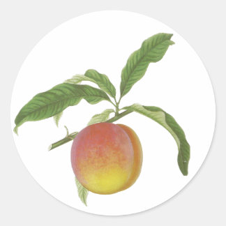 Vintage Fruit Stickers Runt Klistermärke