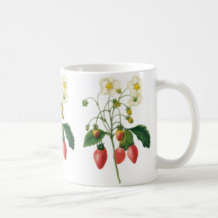 Vintage frukt bär mat jordgubbar av Redoute Kaffemugg