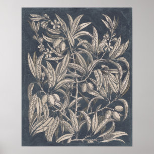 Vintage Frukt och Blommigt I Poster