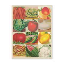 Vintage Frukt och grönsaker Illustrationer